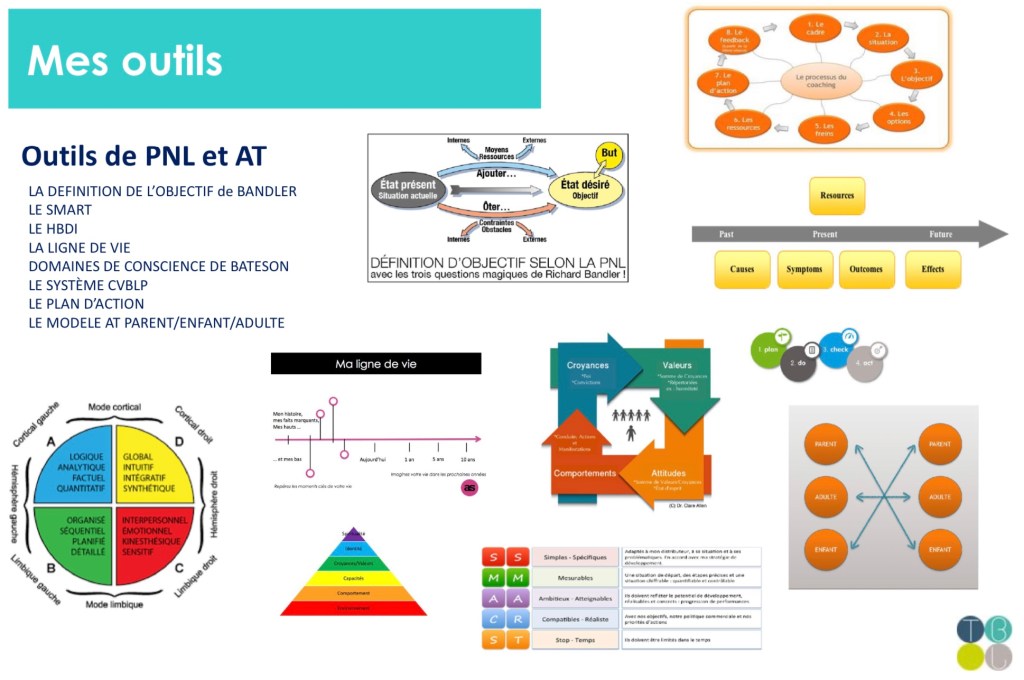 Cette image a un attribut alt vide ; le nom du fichier est 66f9a94a-f774-4313-90a6-44f943445410.jpeg